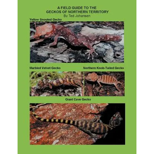 A Field Guide to the Geckos of Northern Territory - Paperback