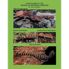 A Field Guide to the Geckos of Northern Territory - Paperback