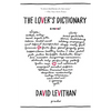 The Lover's Dictionary - Paperback