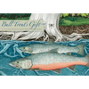 Bull Trout's Gift: A Salish Story about the Value of Reciprocity - Hardcover