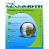 Math Mammoth Grade 3-A Worktext - Paperback