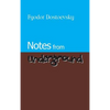 Notes from Underground - Hardcover