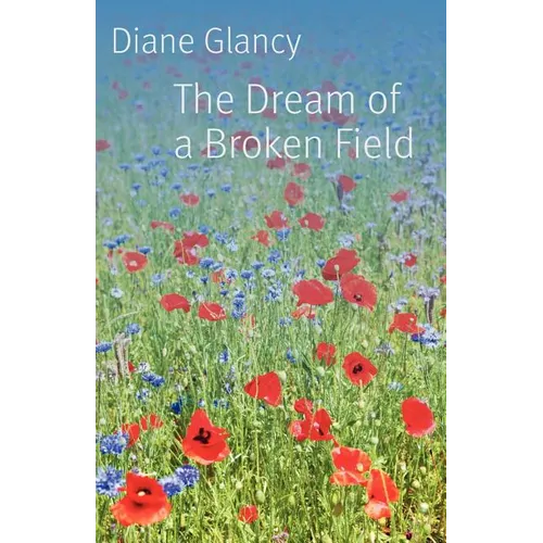 The Dream of a Broken Field Dream of a Broken Field - Paperback