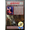 Gálvez: Spain -- Our Forgotten Ally in the American Revolutionary War: A Concise Summary of Spain's Assistance - Paperback