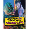 Groupers and Moray Eels Team Up! - Paperback