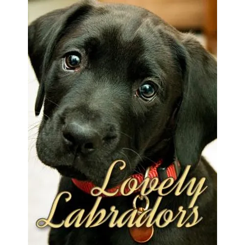 Lovely Labradors - Paperback