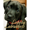 Lovely Labradors - Paperback