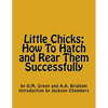 Little Chicks: How To Hatch and Rear Them Successfully - Paperback