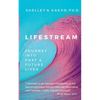 Lifestream: Journey Into Past & Future Lives - Paperback