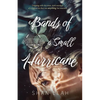 Bands of a Small Hurricane - Paperback