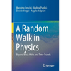 A Random Walk in Physics: Beyond Black Holes and Time-Travels - Paperback