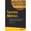 Success Metrics: A Multidimensional Framework for Measuring Organizational Success - Paperback