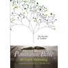 The Panoramic Bible: The Storyline of Scripture - Paperback