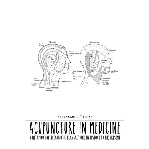Acupuncture in Medicine: A Metaphor for Therapeutic Transactions in History to the Present - Paperback
