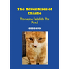 The Adventures of Charlie: Thomasina Falls Into The Pond - Paperback