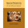 Special Relativity: For the Enthusiastic Beginner - Paperback