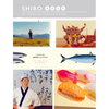 Shiro: Wit, Wisdom & Recipes from a Sushi Pioneer - Paperback