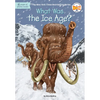 What Was the Ice Age? - Paperback