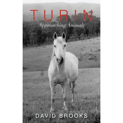 Turin: Approaching Animals - Paperback