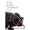 A Fly in the Ointment: Short Stories - Paperback