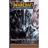 Warcraft: The Sunwell Trilogy - Shadows of Ice, Volume Two - Paperback