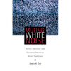Muting White Noise: Native American and European American Novel Traditions Volume 51 - Paperback