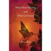 What Went Missing and What Got Found - Paperback
