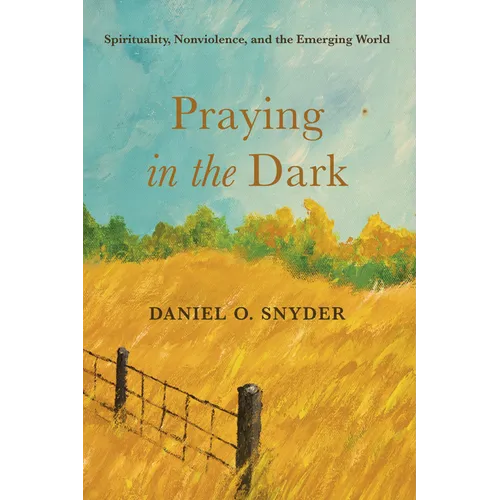 Praying in the Dark: Spirituality, Nonviolence, and the Emerging World - Paperback
