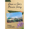 Down in God's Miracle Valley - Paperback