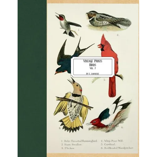 Vintage Prints: Birds: Vol. 7 - Paperback