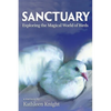 Sanctuary - Exploring the Magical World of Birds - Paperback