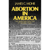 Abortion in America: The Origins and Evolution of National Policy, 1800-1900 - Paperback