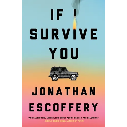 If I Survive You - Hardcover