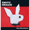 Erotic Origami - Hardcover
