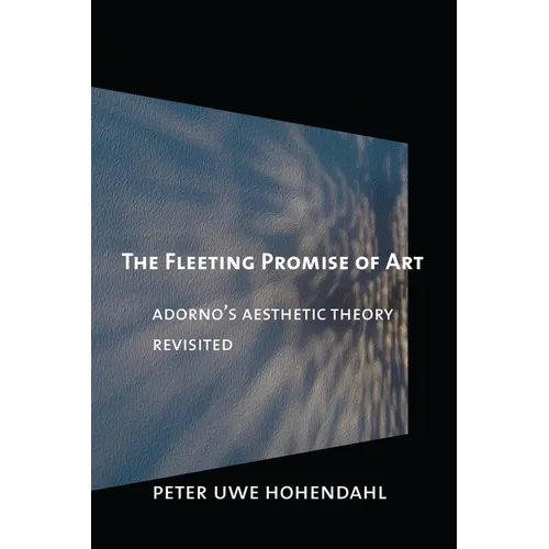 The Fleeting Promise of Art - Paperback
