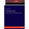 The Prophets of Israel: Popular sketches from Old Testament history - Paperback
