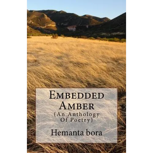 Embedded Amber: Soul- in Search of the Solace - Paperback