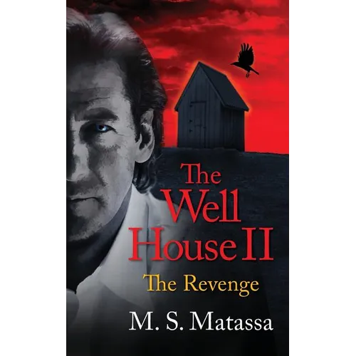 The Well House II: The Revenge - Paperback