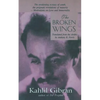 The Broken Wings - Paperback