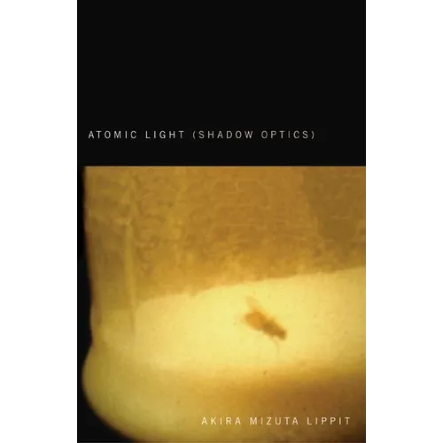 Atomic Light (Shadow Optics) - Paperback