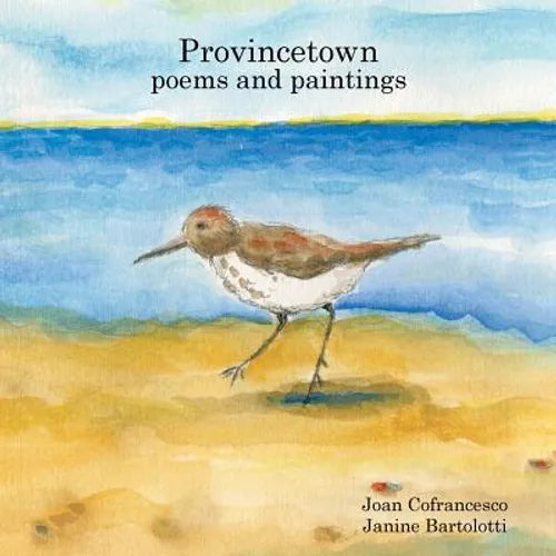 Provincetown poems and paintings - Paperback