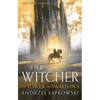 The Tower of Swallows - Hardcover
