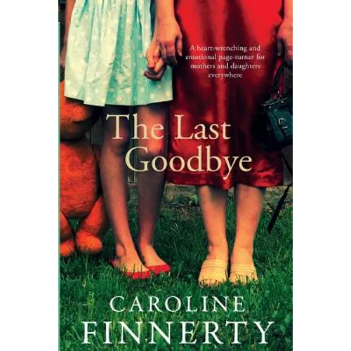 The Last Goodbye - Paperback