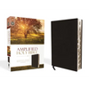 Amplified-Am: Captures the Full Meaning Behind the Original Greek and Hebrew - Bonded Leather