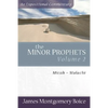The Minor Prophets: Micah-Malachi - Paperback