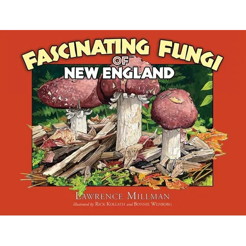 Fascinating Fungi of New England - Paperback