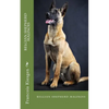 belgian shepherd malinois - Paperback