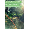Bandhavgarh At a Glance - Paperback