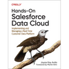 Hands-On Salesforce Data Cloud: Implementing and Managing a Real-Time Customer Data Platform - Paperback