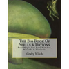 The Big Book Of Spells & Potions: Real Magic For Real Witches, Wizards & Warlocks - Paperback
